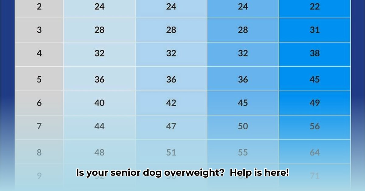 old-dog-weight-loss